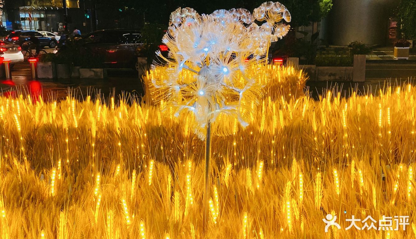 湖滨的麦子黄了!