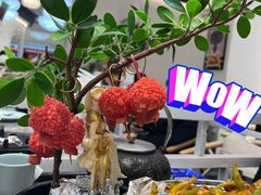 -奔跑吧陕菜·盛世长安(民乐园万达店)