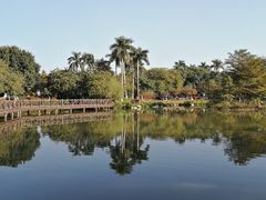-海珠湖公园