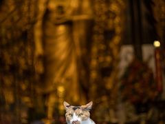 -龙华寺
