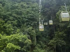 -黔灵山公园