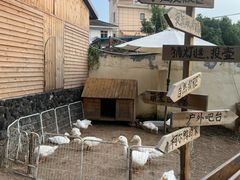 -HERRE·FARM 赫尔露营农场·团建聚会包场