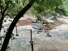 -广州白江湖森林公园