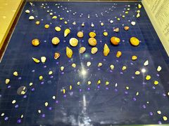 -青岛贝壳博物馆