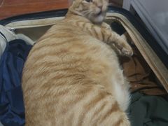 -中山大学附属第五医院