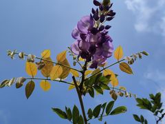 -幕燕滨江·长江观音景区