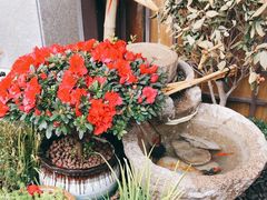 -老阿爸鲜鱼土菜(昆山花桥店)