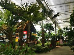 -南宫五洲植物乐园