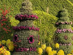 -杭州植物园