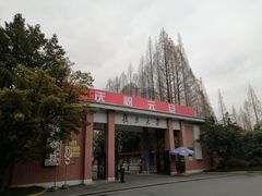 -复旦大学光华楼