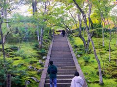 -常寂光寺