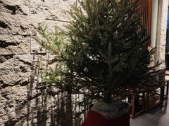 -古京·臻致料理(月湖店)