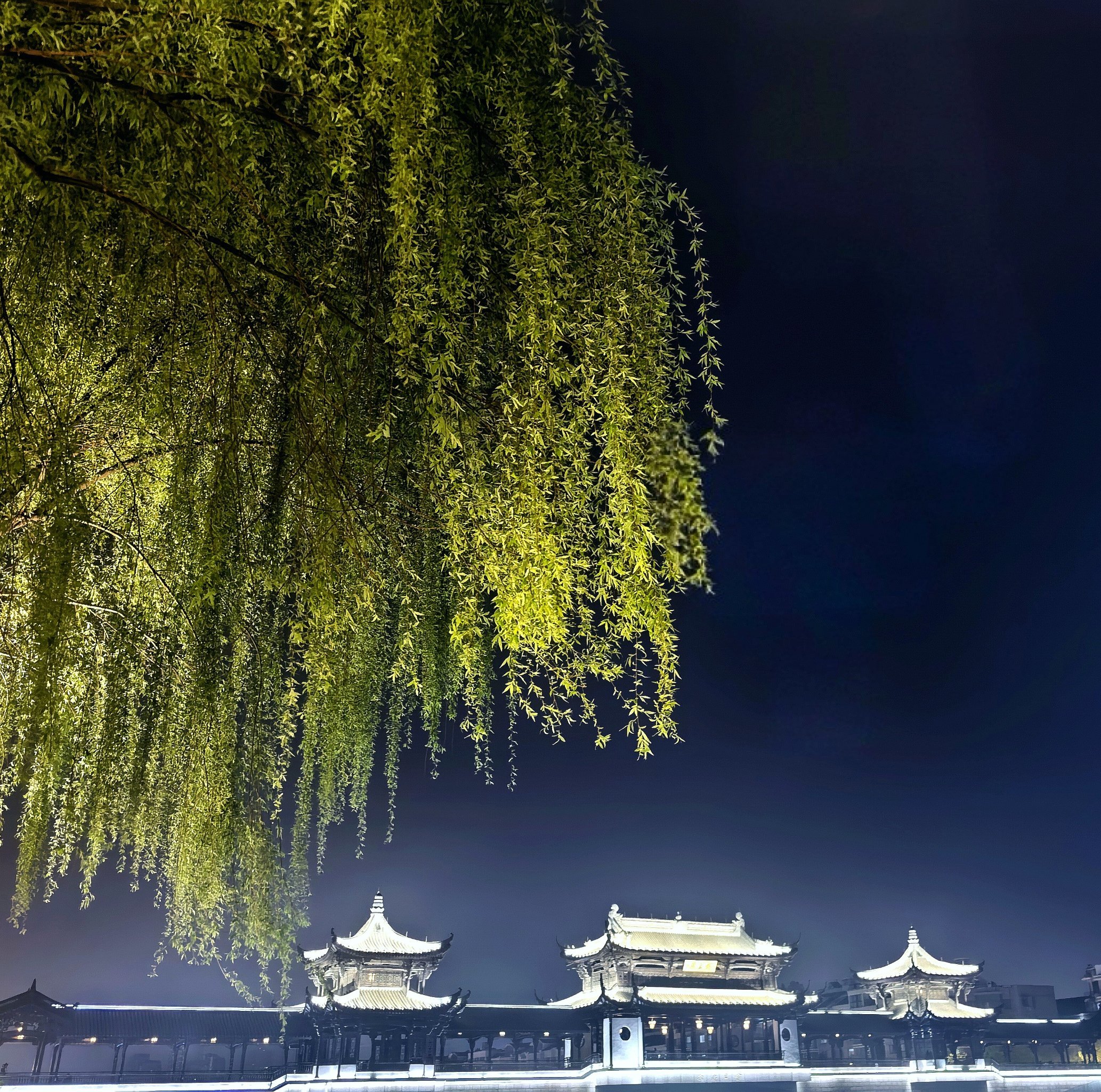 这里夜景独美