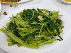 -新陶陶酒家