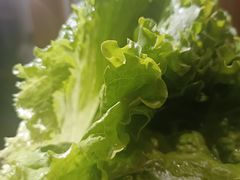 -九田家黑牛烤肉料理(珠江摩尔店)