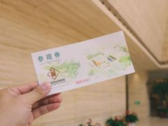 -盘龙城国家考古遗址公园