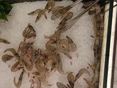 -火锅岛潮牌自助餐厅(天津天佑城店)