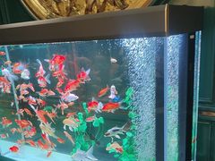 -雀蓝川菜(奥体广场店)