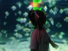 -石家庄极地海洋世界