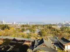 -江心屿景区