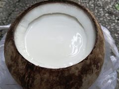 -椰爺爺·椰子冻砵仔糕