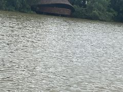 -大湾区中央湿地公园