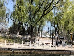 -皇家御河游(紫御湾码头)