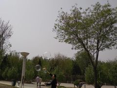 -燕郊植物园
