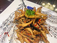 -云境生态园(红谷滩店)