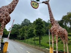 -贵州森林野生动物园