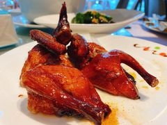 石岐乳鸽-迎悦轩(维景湾店)