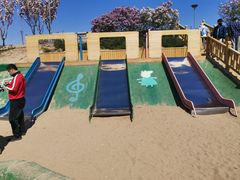 -大兴滨河森林公园