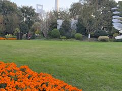 -北外滩滨江绿地