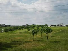 -紫颐香薰山谷景区