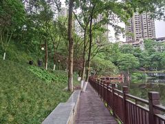 -重庆彩云湖湿地公园