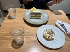 -猫里有甜