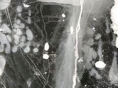 -山里屯铁锅炖(哈尔滨中央大街店)