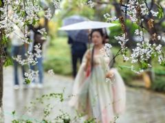 -西安青龙寺遗址景区