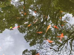 -南山植物园