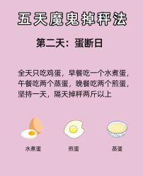 -Fundi张玉珊修身堂·indiba·BTL科技瘦身