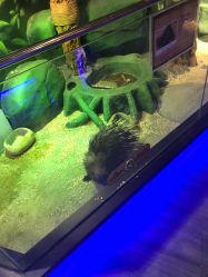 -未来动物城主题公园(正弘城店)