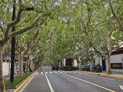 -一尺花园(安和花园店)