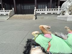 -香积寺