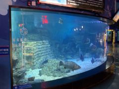 -烟台海昌鲸鲨海洋公园