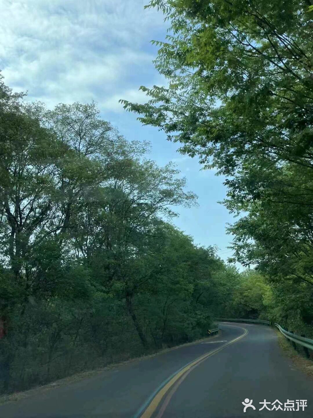 悠闲步伐，林中漫游