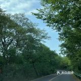 悠闲步伐，林中漫游