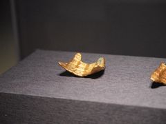 -南京博物院