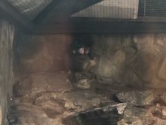 -北京市海淀外国语实验学校