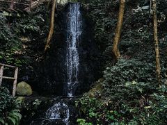 -龙井壹号·茶缘山景宴(龙井村店)