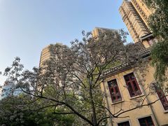 -颐和路民国时期公馆风貌区